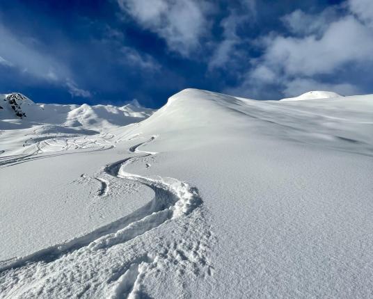 Traces on the snow