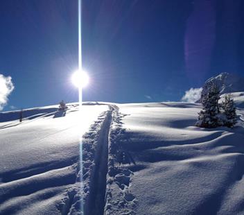 Strahlende Wintersonne