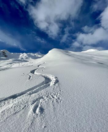 Traces on the snow