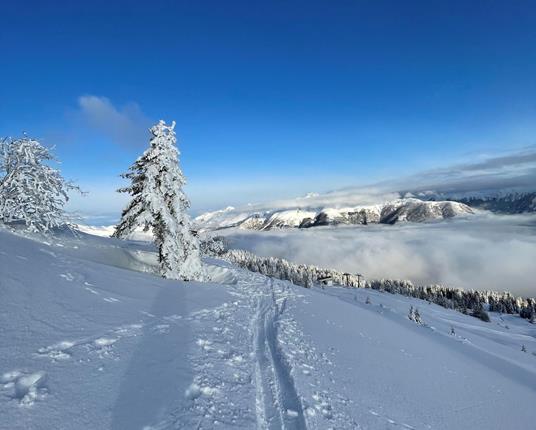 ratschingserhof-winter-berg