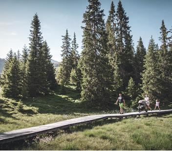 A family with small children on a hike